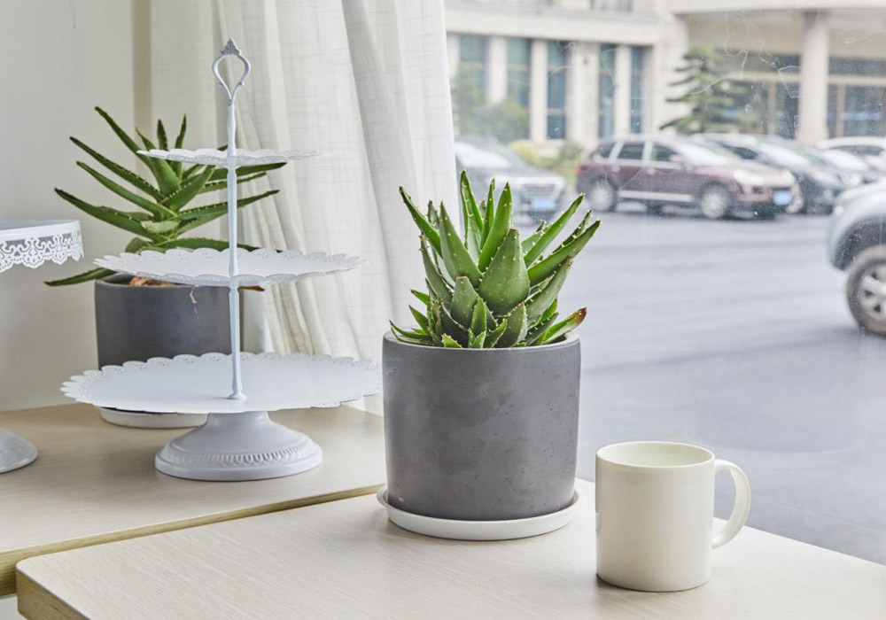 1564215069580922.jpg 1564215069580922.jpg